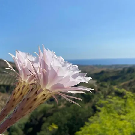 בית נופש Casa Del Sole סנט'אנדראה אפוסטולו דלו איוניו